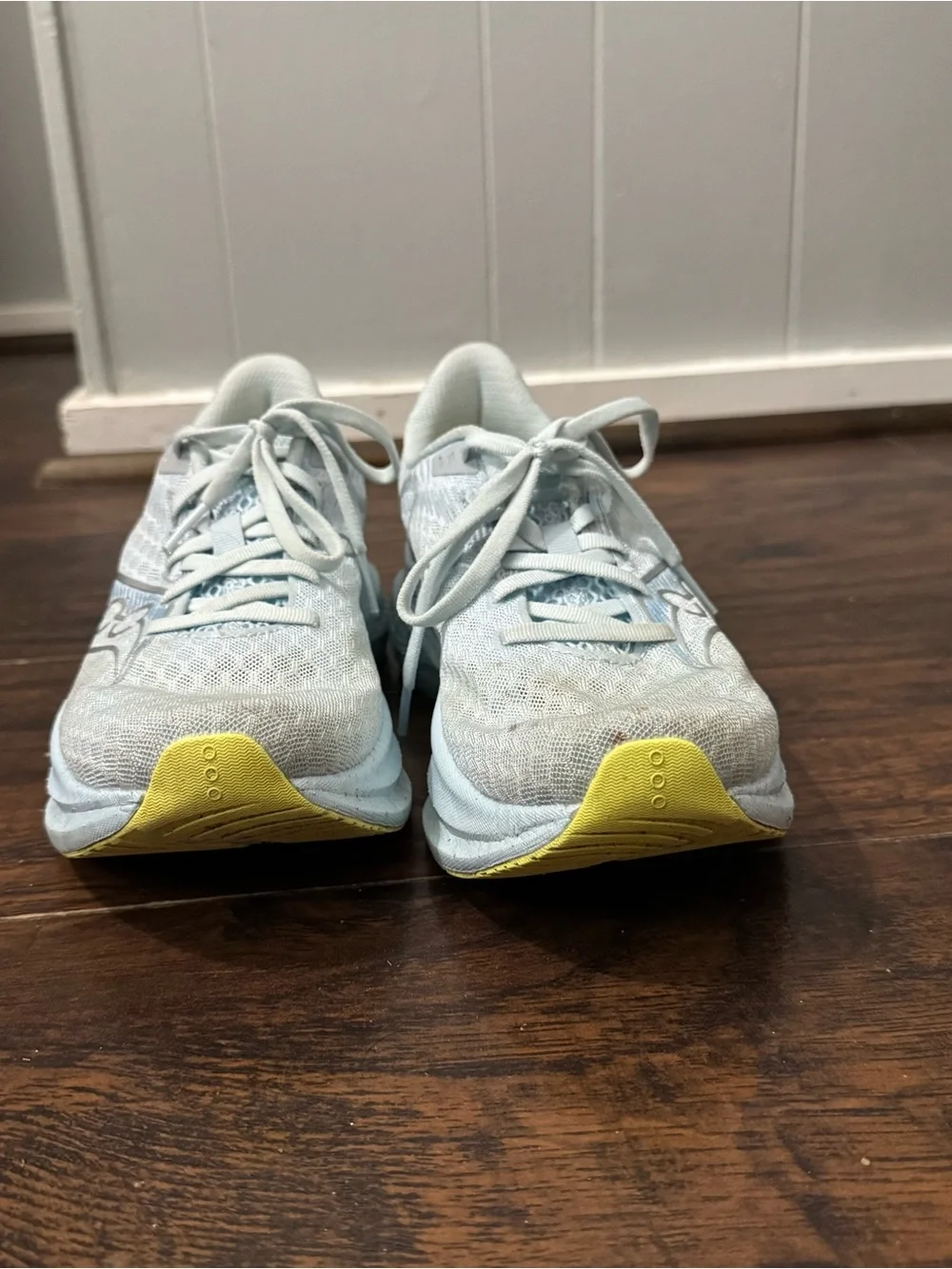 Saucony Endorphin
